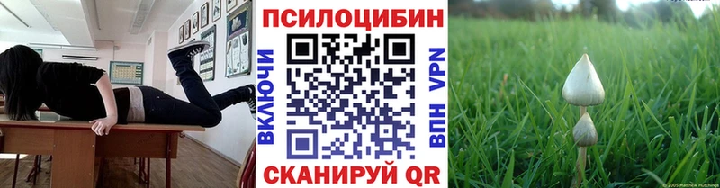 Купить где  Невель  Псилоцибиновые грибы ЛСД 